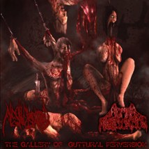 HUMAN MASTICATION / FLESH DISGORGED- The Gallery..Gutt.. PRO-CDR